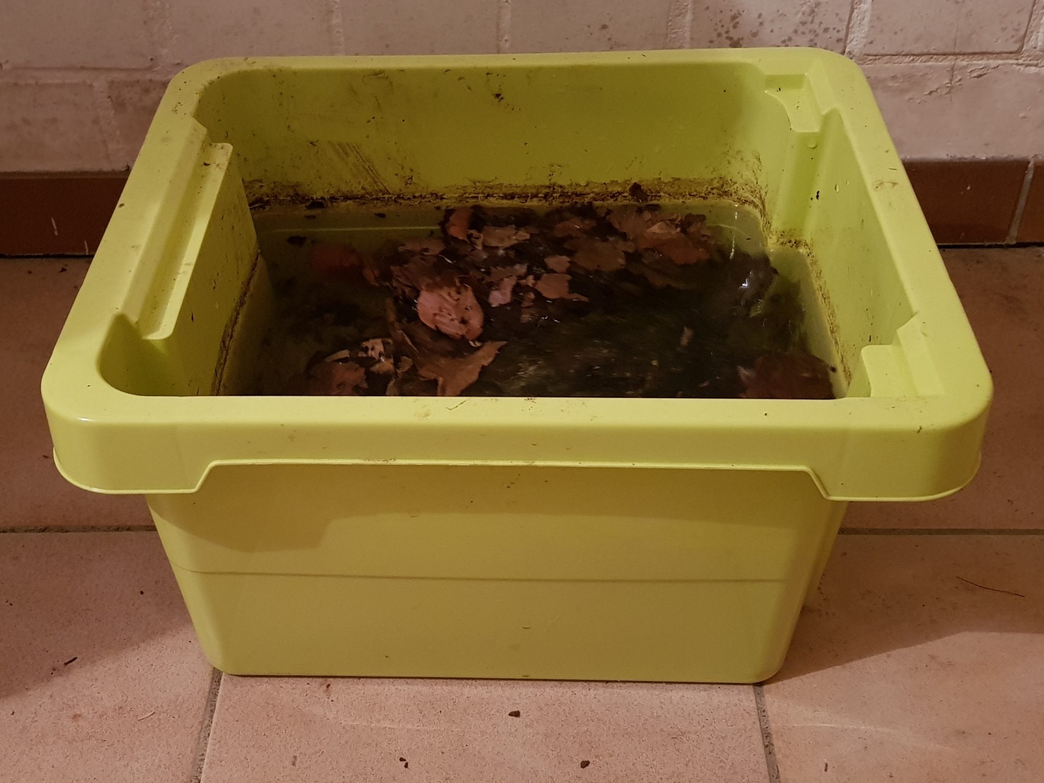 KellerÜberwinterung von Wasserschildkröten