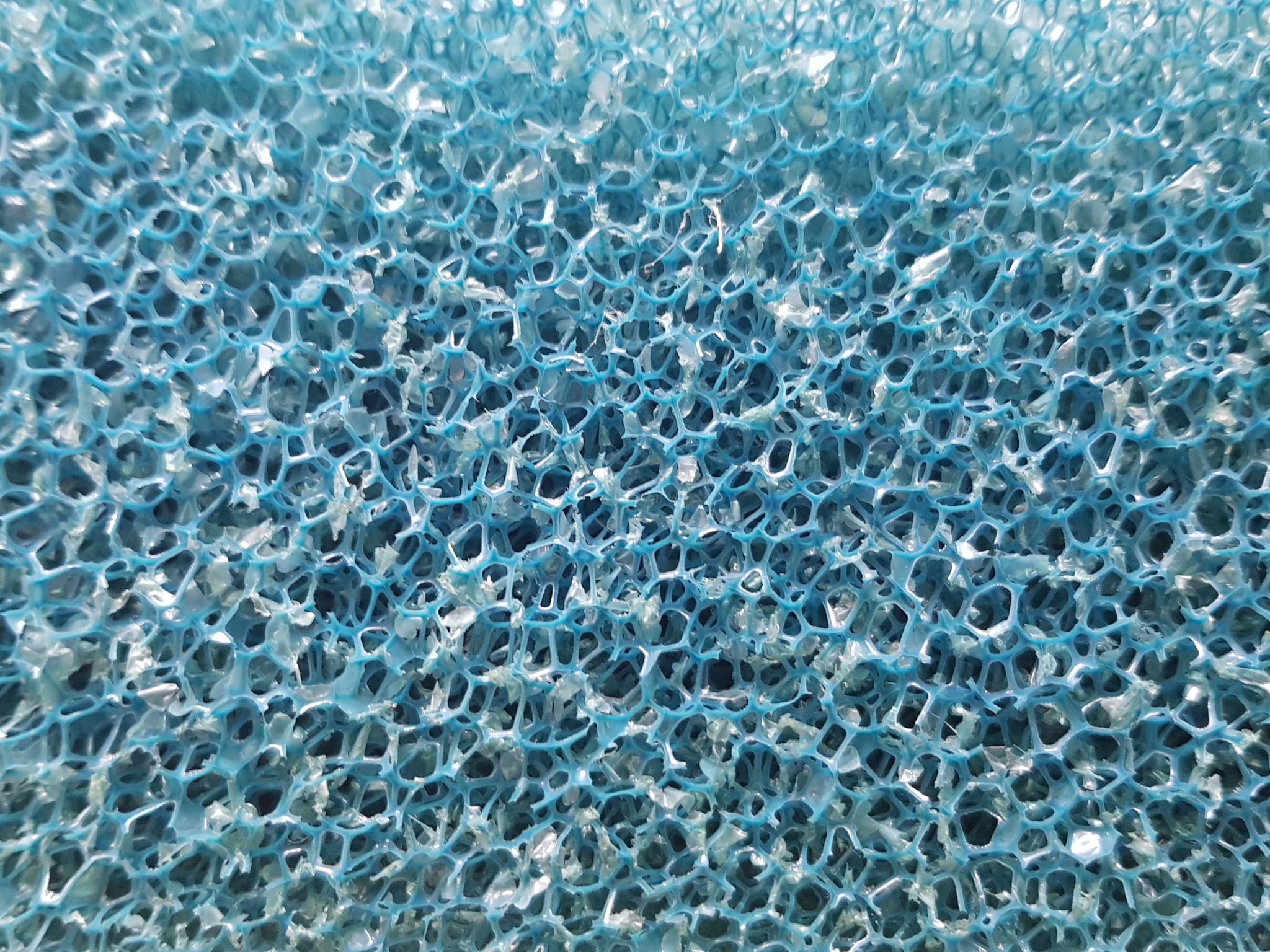 Filtermaterialien für Wasserschildkröten