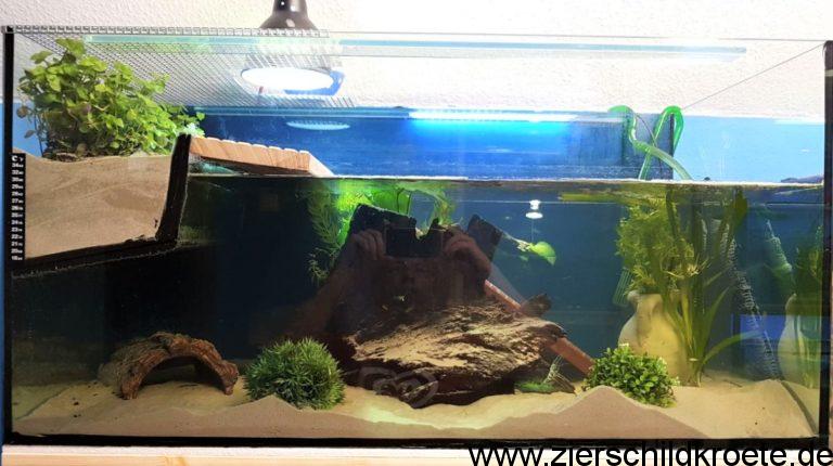 Wie Groß Muss Ein Aquarium Für Wasserschildkröten Sein www.zierschildkroete.de