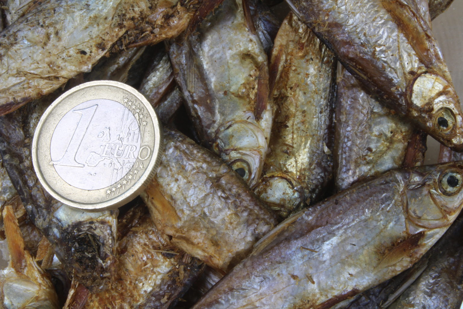 SAHAWA Getrocknete Fische 1kg - Proteinreiches Futter Für Schildkröten & Mehr